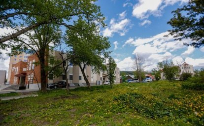 У южно-сахалинского корейского культурного центра хотят высадить национальные деревья